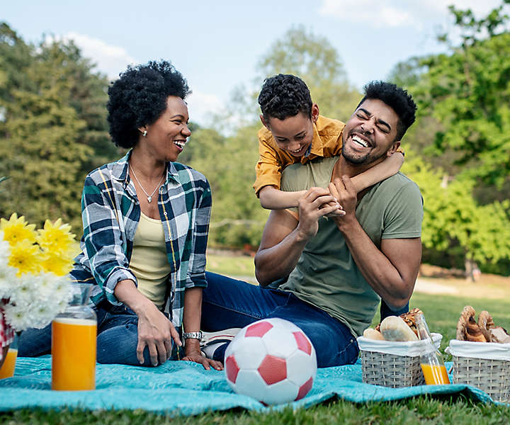 Family at Picnic