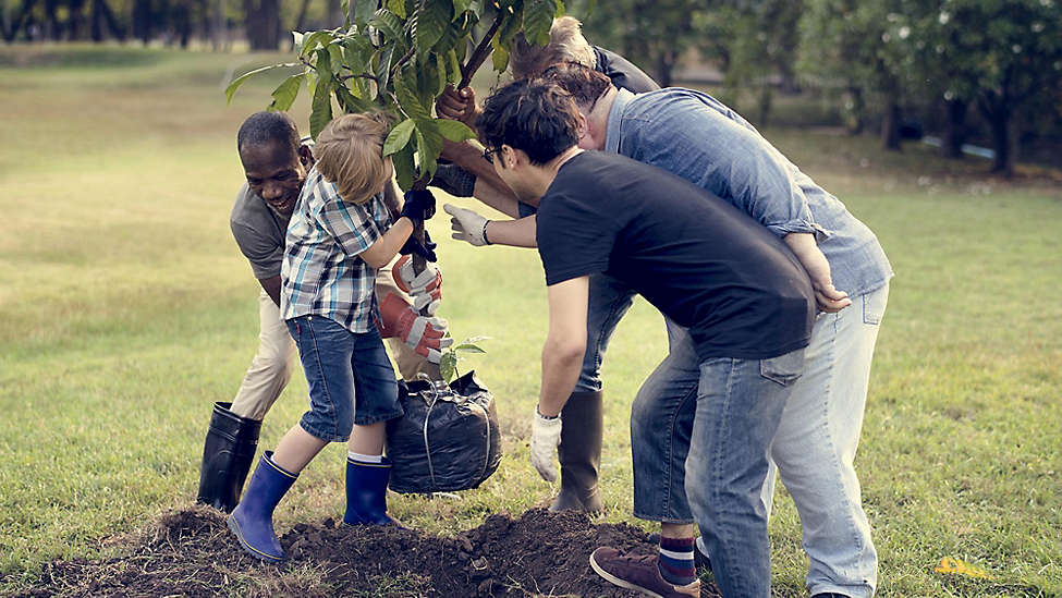 Volunteers planting a tree