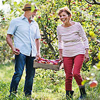 older married couple enjoying apple picking.