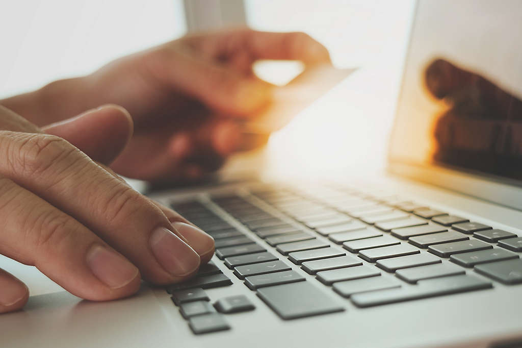  Person entering their credit card information into their computer