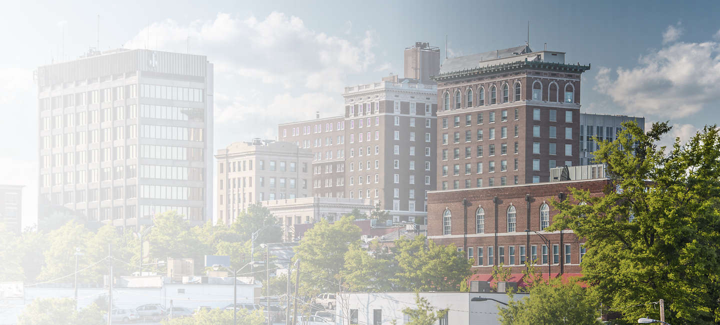 Cityscape of Greenville 