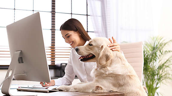 A woman working from home on her computer while petting her dog.