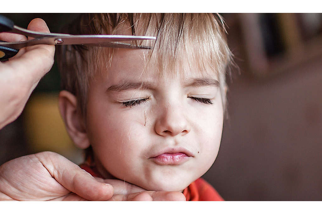 Young child getting a haircut.