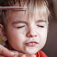 Young child getting a haircut