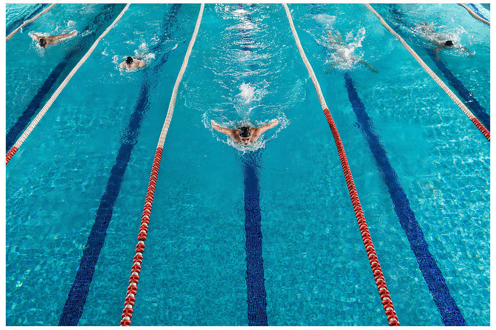 Olympic swimmers