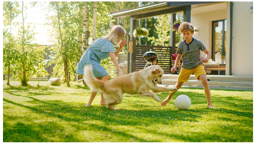  A family playing with their dog outside in the yard