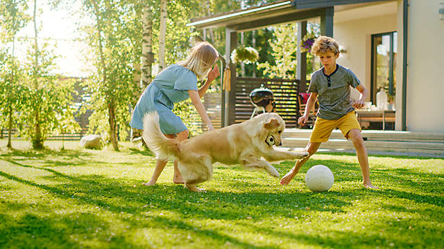 A family playing with their dog outside in the yard.