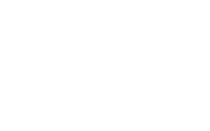 Rising Lotus Financial & Insurance Solutions logo SAN MATEO, CALIFORNIA