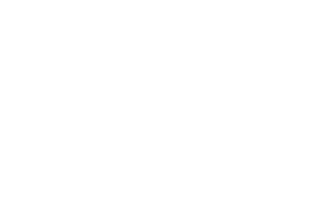 FORT INDEPENDENCE FINANCIAL & INSURANCE logo WALTHAM, MASSACHUSETTS